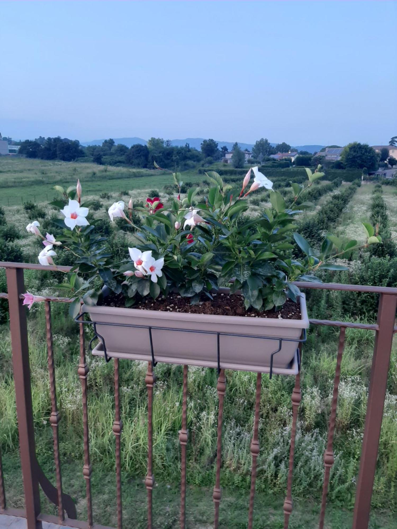 Bed And Breakfast Ca Tognella Pescantina Esterno foto